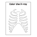 A to Z Alphabet Coloring Book Worksheets | Preschool Letter Recognition Activity Pages | Toddler Early Literacy Animal and Object Coloring Sheets Digital Download PDF