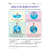All About the Earth Worksheet | Choose the Correct Item, Answer the Question & Fill in the Blanks