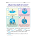 All About the Earth Worksheet | Choose the Correct Item, Answer the Question & Fill in the Blanks