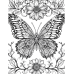 Butterfly Coloring Pages Set of 10 | Printable Coloring Pages Set 1