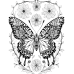 Butterfly Coloring Pages Set of 10 | Printable Coloring Pages Set 1