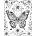 Butterfly Coloring Pages Set of 10 | Printable Coloring Pages Set 1