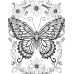 Butterfly Coloring Pages Set of 10 | Printable Coloring Pages Set 1