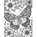 Butterfly Coloring Pages Set of 10 | Printable Coloring Pages Set 1