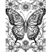 Butterfly Coloring Pages Set of 10 | Printable Coloring Pages Set 1