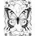 Butterfly Coloring Pages Set of 10 | Printable Coloring Pages Set 2