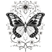 Butterfly Coloring Pages Set of 10 | Printable Coloring Pages Set 2