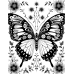 Butterfly Coloring Pages Set of 10 | Printable Coloring Pages Set 2