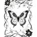 Butterfly Coloring Pages Set of 10 | Printable Coloring Pages Set 3