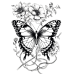 Butterfly Coloring Pages Set of 10 | Printable Coloring Pages Set 3