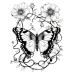 Butterfly Coloring Pages Set of 10 | Printable Coloring Pages Set 3