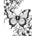Butterfly Coloring Pages Set of 10 | Printable Coloring Pages Set 4