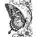 Butterfly Coloring Pages Set of 10 | Printable Coloring Pages Set 4
