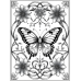 Butterfly Coloring Pages Set of 10 | Printable Coloring Pages Set 5