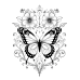 Butterfly Coloring Pages Set of 10 | Printable Coloring Pages Set 5