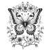 Butterfly Coloring Pages Set of 10 | Printable Coloring Pages Set 7