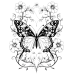 Butterfly Coloring Pages Set of 10 | Printable Coloring Pages Set 7