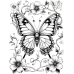 Butterfly Coloring Pages Set of 10 | Printable Coloring Pages Set 9