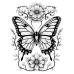 Butterfly Coloring Pages Set of 10 | Printable Coloring Pages Set 9