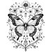 Butterfly Coloring Pages Set of 10 | Printable Coloring Pages Set 9