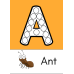Alphabet Letters Printable Flashcards for Preschool & Kindergarten | A-Z Learning Cards