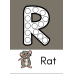 Alphabet Letters Printable Flashcards for Preschool & Kindergarten | A-Z Learning Cards