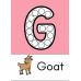 Alphabet Letters Printable Flashcards for Preschool & Kindergarten | A-Z Learning Cards