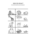 Third Grade Animals Worksheets | Vertebrates & Invertebrates, Habitats, Food Chains & Writing Practice PDF
