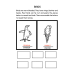 Third Grade Animals Worksheets | Vertebrates & Invertebrates, Habitats, Food Chains & Writing Practice PDF