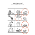 Third Grade Animals Worksheets | Vertebrates & Invertebrates, Habitats, Food Chains & Writing Practice PDF