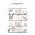 Third Grade Animals Worksheets | Vertebrates & Invertebrates, Habitats, Food Chains & Writing Practice PDF