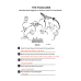Third Grade Animals Worksheets | Vertebrates & Invertebrates, Habitats, Food Chains & Writing Practice PDF