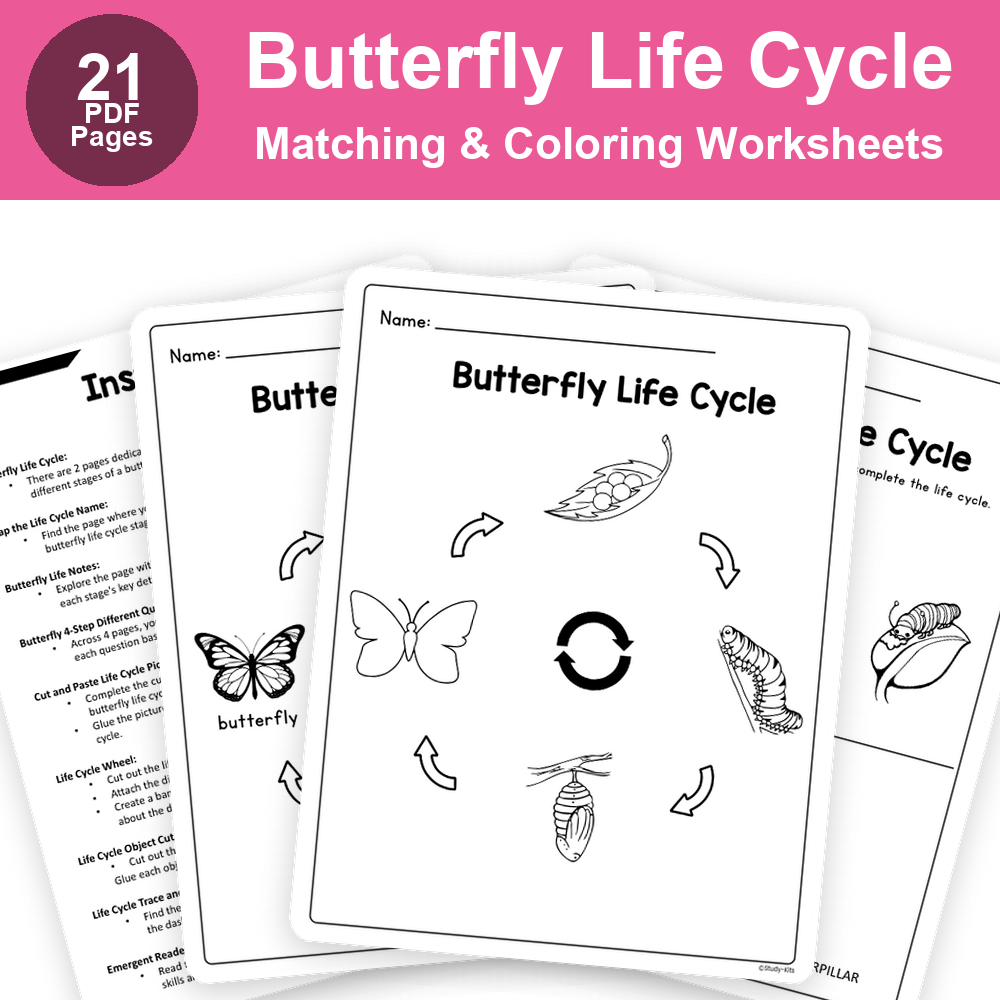 Butterfly Life Cycle  | Matching & Coloring Worksheets