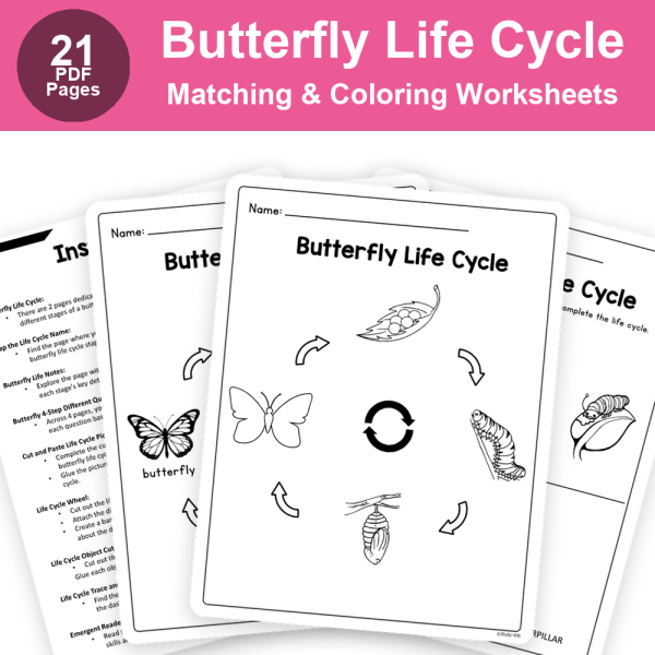 Butterfly Life Cycle  | Matching & Coloring Worksheets