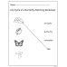 Butterfly Life Cycle  | Matching & Coloring Worksheets