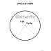 Butterfly Life Cycle  | Matching & Coloring Worksheets