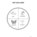 Butterfly Life Cycle  | Matching & Coloring Worksheets