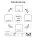 Butterfly Life Cycle  | Matching & Coloring Worksheets