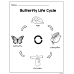 Butterfly Life Cycle  | Matching & Coloring Worksheets