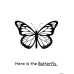 Butterfly Life Cycle  | Matching & Coloring Worksheets