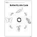 Butterfly Life Cycle  | Matching & Coloring Worksheets