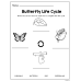 Butterfly Life Cycle  | Matching & Coloring Worksheets