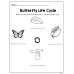 Butterfly Life Cycle  | Matching & Coloring Worksheets